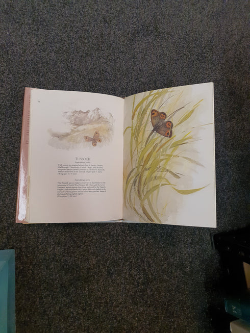 Catherine Hamilton's Butterflies of New Zealand by Catherine Hamilton